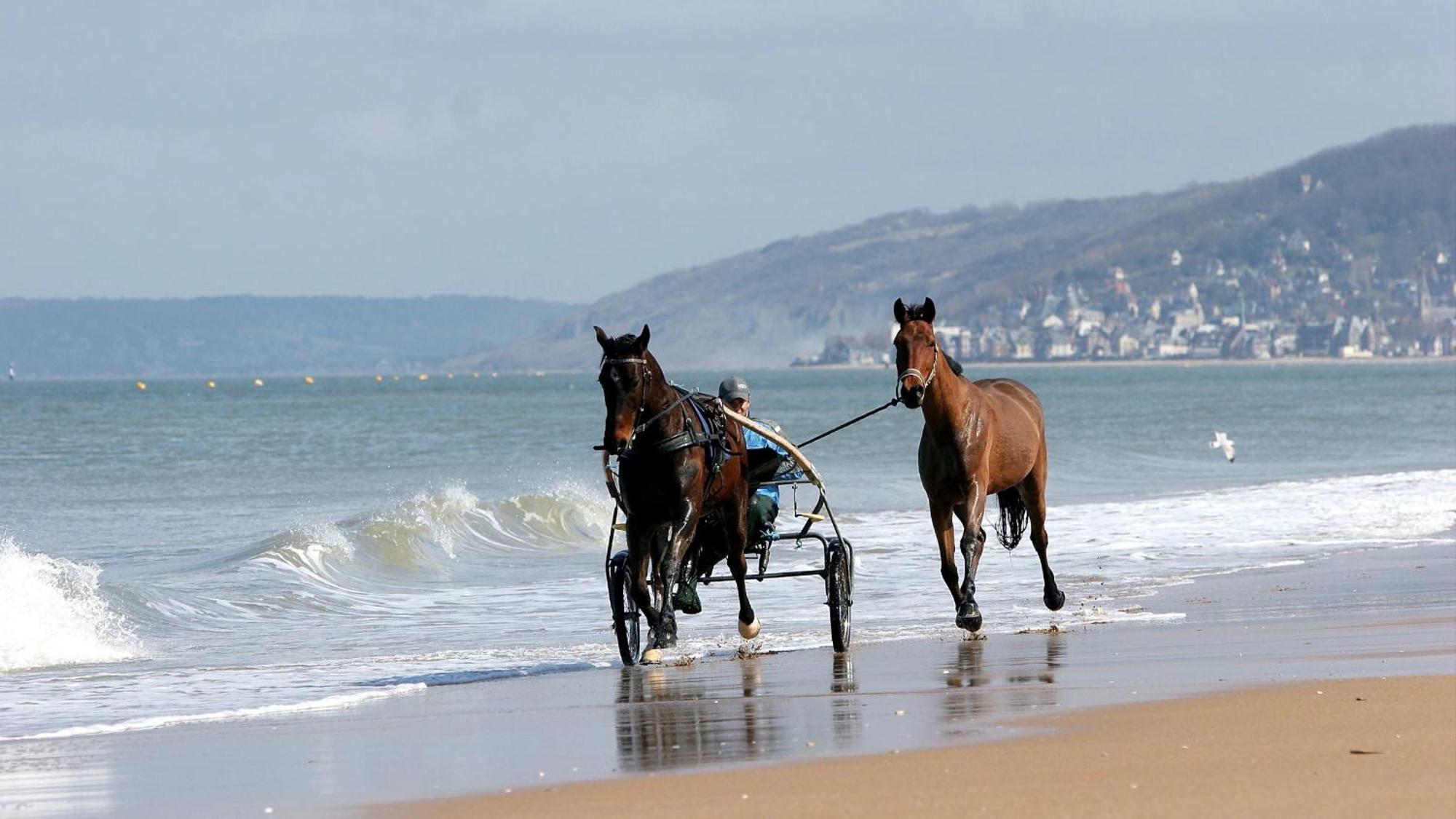 Calme Et Arboree Proche De La Plage Cabourg Exterior foto